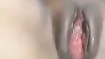 Negra Ébano Disfruta De Penetración Anal Y Creampie