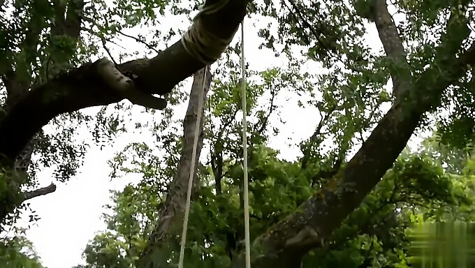 Kærestens Udendørs Leg Med Store Bryster