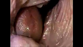 Intrusive Footage Captured Inside Vagina And Penis Ejaculation