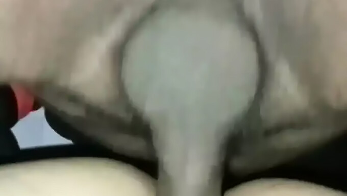 Desi Aunty Gets Fucked Doggy Style In Standing Position