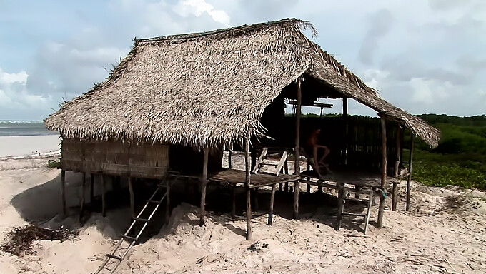 คู่รักสองคู่มีส่วนร่วมในการมีเพศสัมพันธ์กลางแจ้งในบ้านริมชายหาด