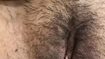 Hausgemachtes Amateurgirl Gibt Den Besten Blowjob